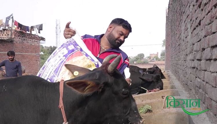 डेयरी फ़ार्मिंग dairy farming 