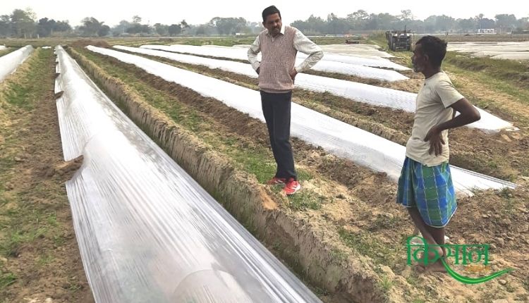 संरक्षित खेती protected cultivation