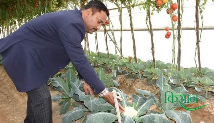 संरक्षित खेती protected cultivation