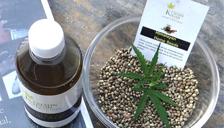 Cannabis Cultivation : Pavitra Joshi of Uttarakhand showed social business model by standing with cannabis, connected many farmers with him