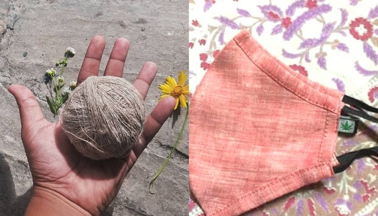 Cannabis Cultivation : Pavitra Joshi of Uttarakhand showed social business model by standing with cannabis, connected many farmers with him