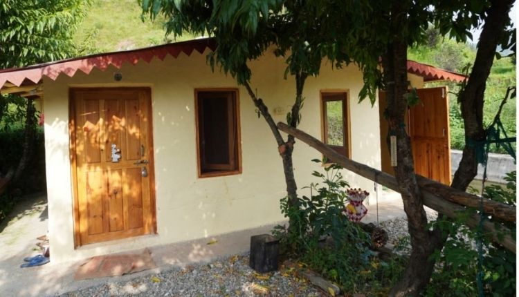 Cannabis Cultivation : Pavitra Joshi of Uttarakhand showed social business model by standing with cannabis, connected many farmers with him