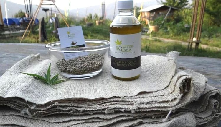 Cannabis Cultivation : Pavitra Joshi of Uttarakhand showed social business model by standing with cannabis, connected many farmers with him