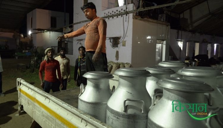 हरियाणा सोनीपत डेयरी व्यवसाय haryana sonipat dairy farm
