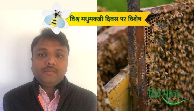 मधुमक्खी पालन व्यवसाय beekeeping business nimit singh