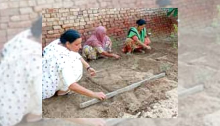 ऑर्गेनिक किचन गार्डन (Kitchen Garden)