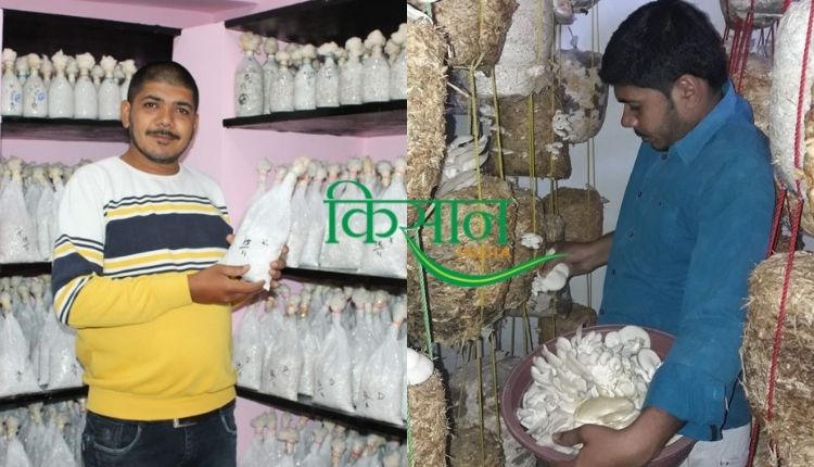 मशरूम एग्री स्टार्टअप mushroom agri startup 