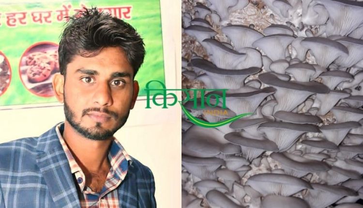 मशरूम एग्री स्टार्टअप mushroom agri startup