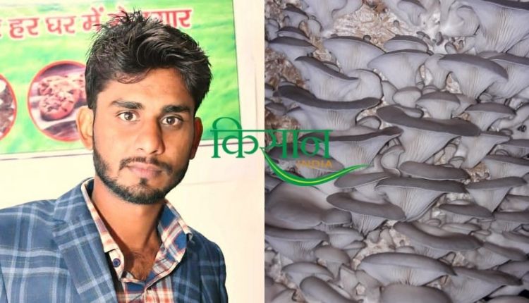 मशरूम एग्री स्टार्टअप mushroom agri startup 