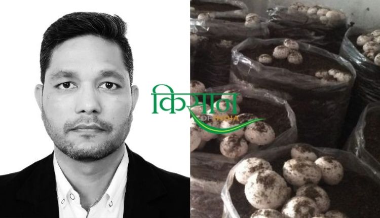 मशरूम एग्री स्टार्टअप mushroom agri startup 