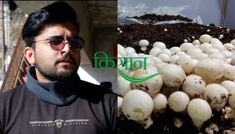 मशरूम एग्री स्टार्टअप mushroom agri startup 