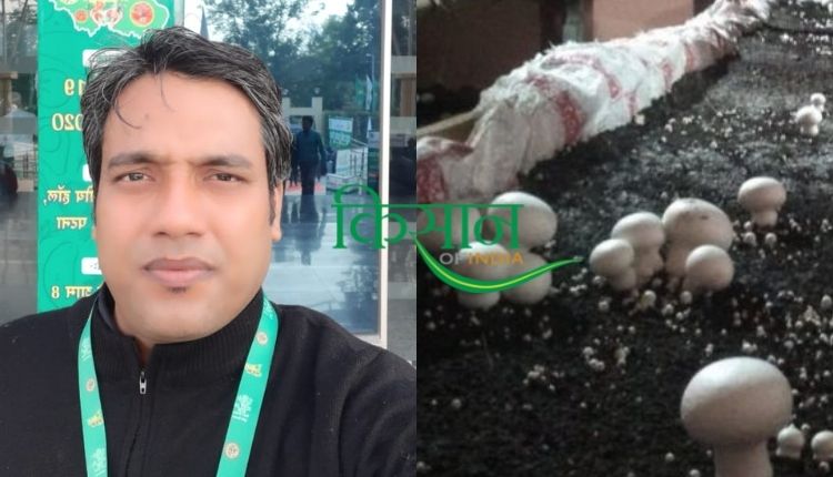 मशरूम एग्री स्टार्टअप mushroom agri startup