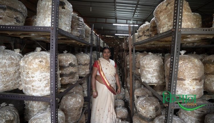 bihar mushroom lady मशरूम की खेती