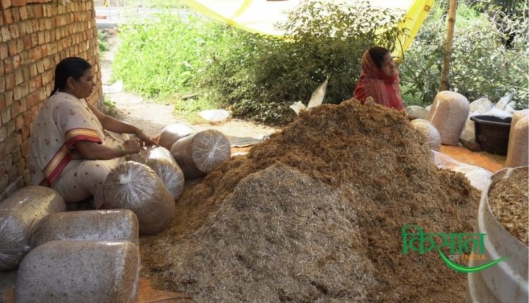 bihar mushroom lady मशरूम की खेती