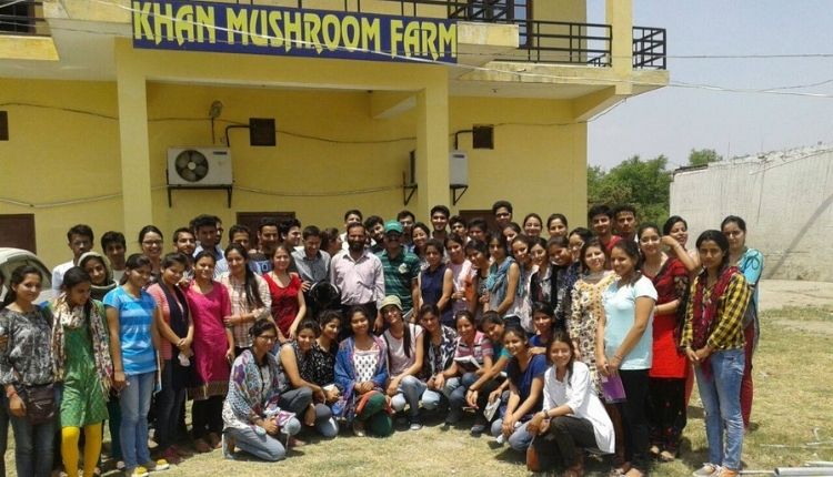 मशरूम की खेती mushroom farming himachal yusuf khan