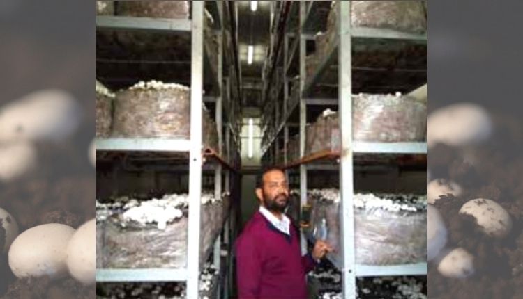 मशरूम की खेती mushroom farming himachal yusuf khan