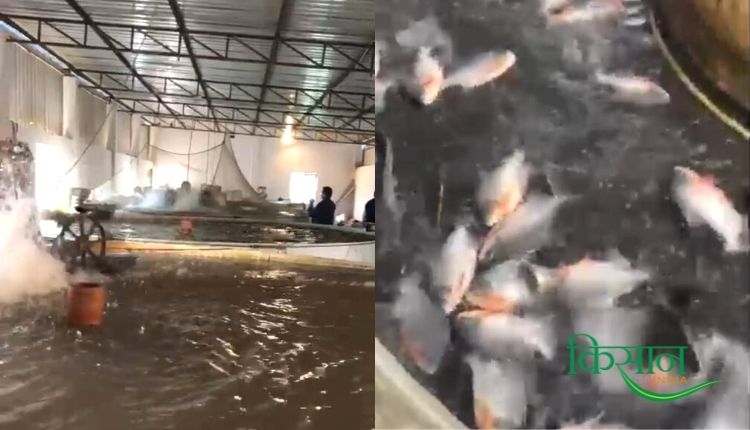 मछली पालन व्यवसाय RAS तकनीक fish farming