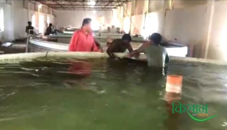 मछली पालन व्यवसाय RAS तकनीक fish farming