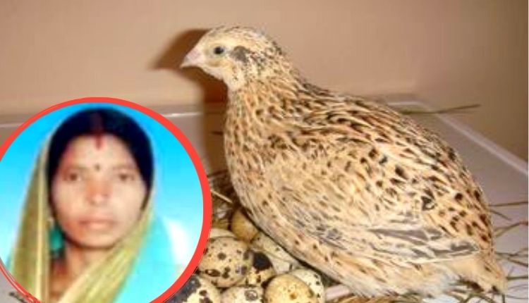 बटेर पालन quail farming Chhattisgarh