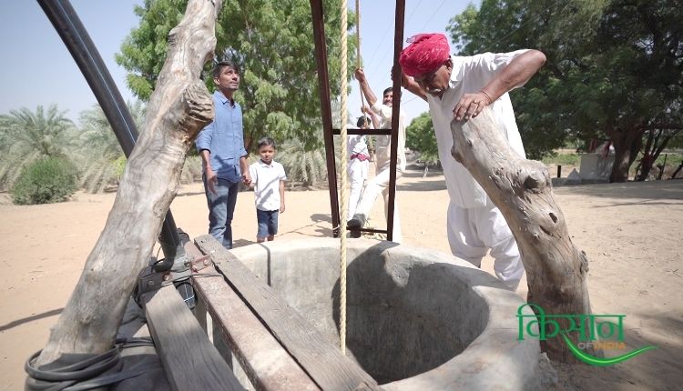 Date farming : Hardworking farmer Sadularam Chaudhary accepted the challenge, grew dates in the 'scorching sand', became a role model
