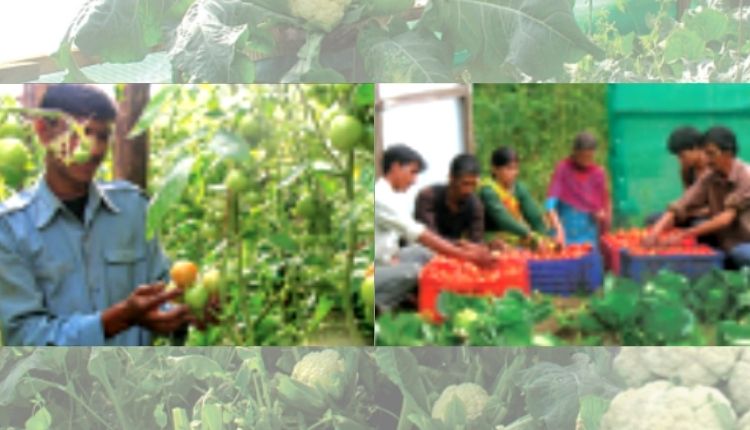 उत्तराखंड के किसान Uttarakhand farmer