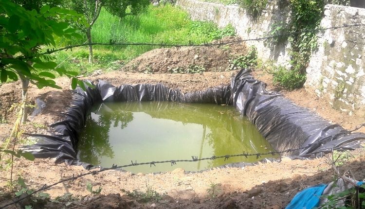 Amba Dutt LDPE