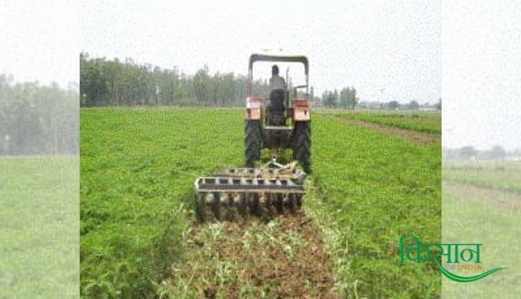 green manure हरी खाद