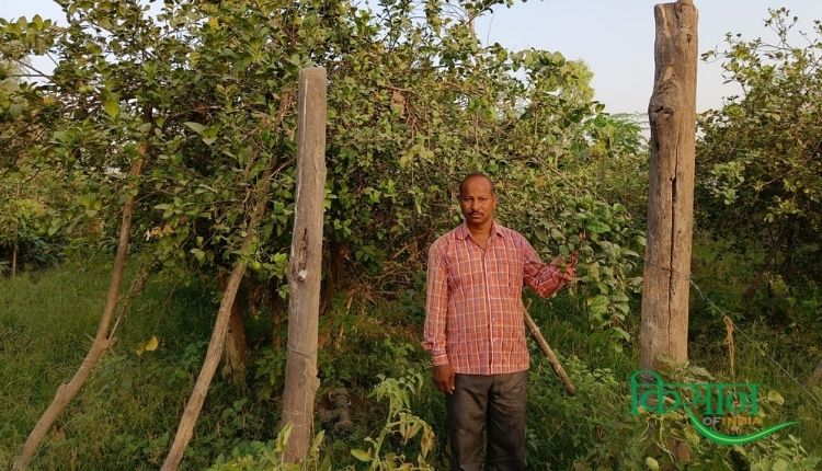 farmer shiv kumar maurya एग्री बिज़नेस