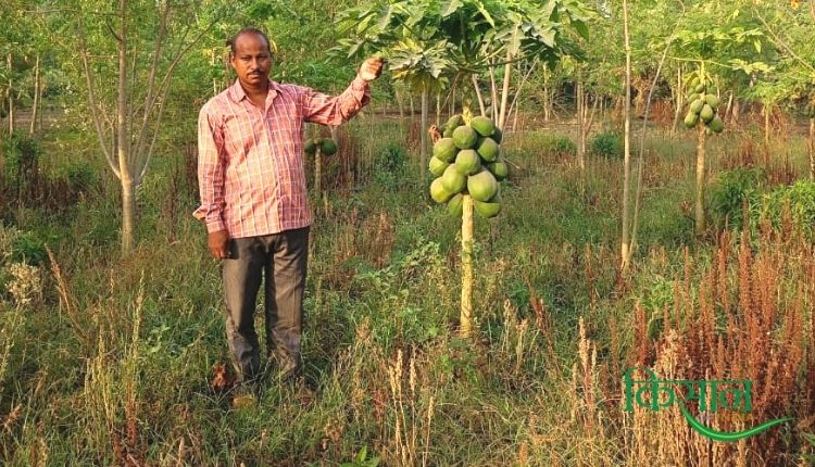 farmer shiv kumar maurya एग्री बिज़नेस