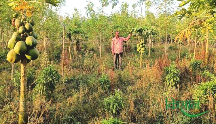 farmer shiv kumar maurya एग्री बिज़नेस