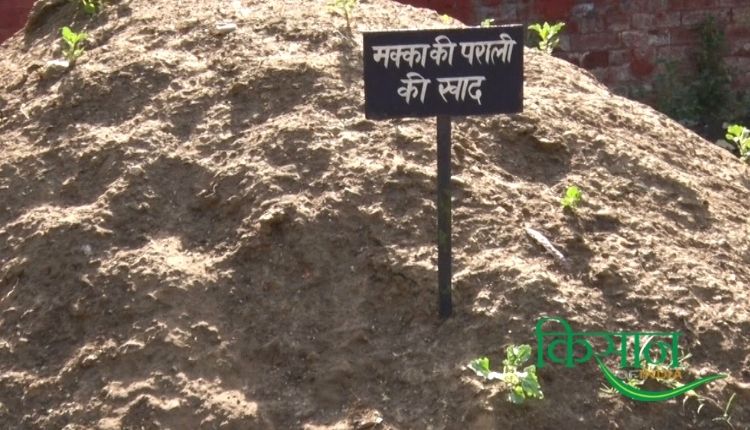 जैविक खाद विंड्रोव तकनीक organic fertilizer