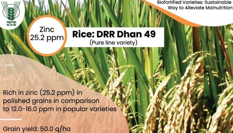 धान की खेती dhan varieties धान की किस्में