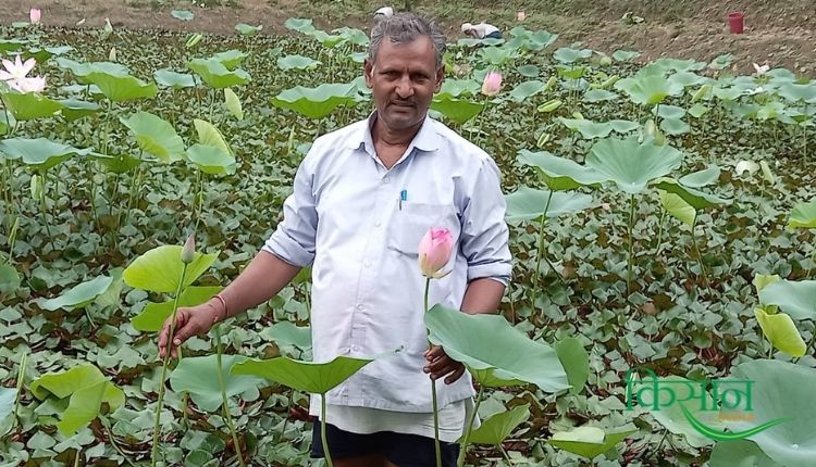 सिंघाड़े की खेती singhare ki kheti sethpal singh padmashri 