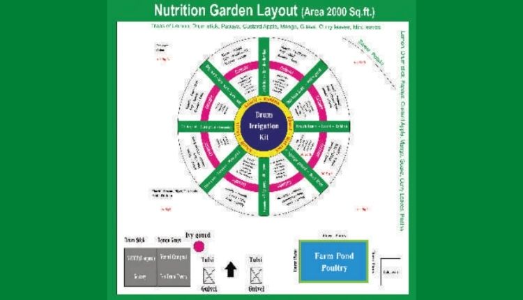 पोषण वाटिका का मॉडल poshan vatika nutrition garden