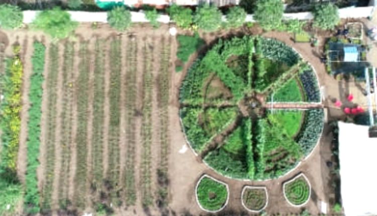 पोषण वाटिका का मॉडल poshan vatika nutrition garden