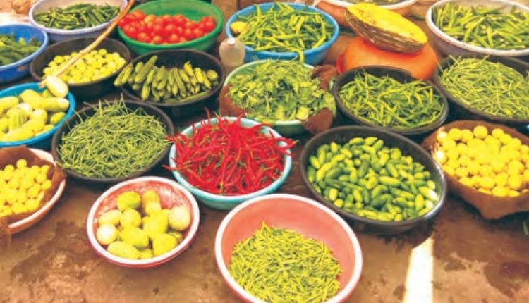 सब्जियों की जैविक खेती Rooftop organic farming in india