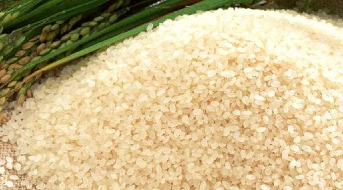 जोहा चावल की खेती