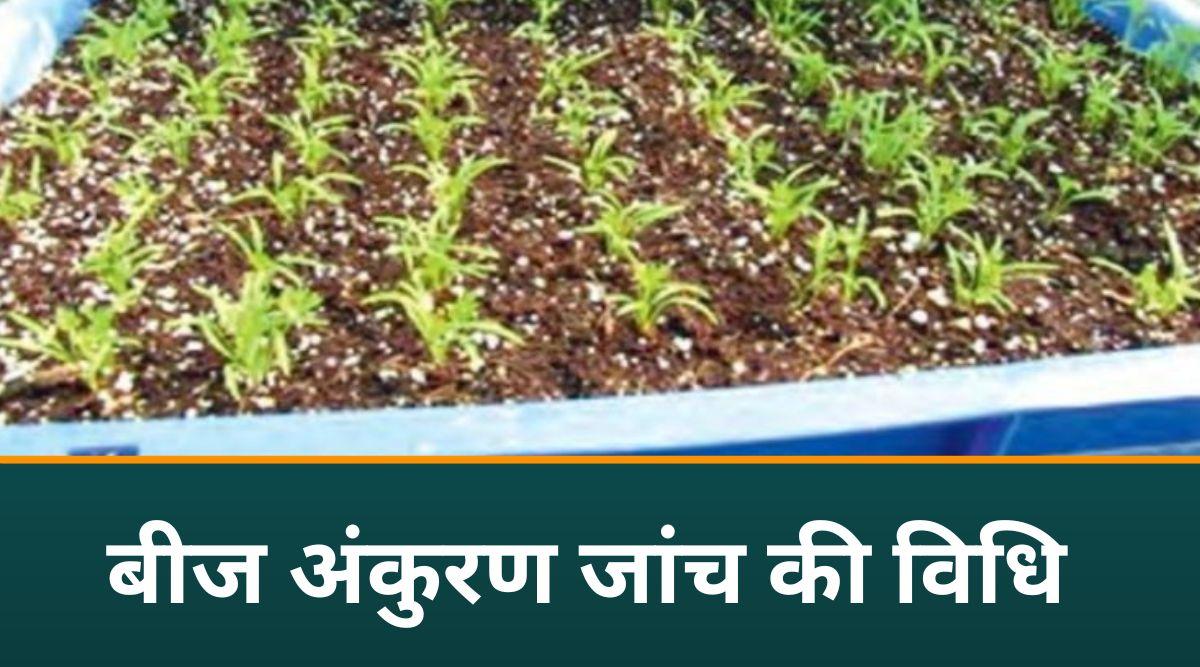 बीज अंकुरण परीक्षण seed germination test