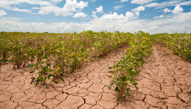 कृषि विशेषज्ञों ने जलवायु स्मार्ट कृषि प्रणाली को विकसित किया गया है