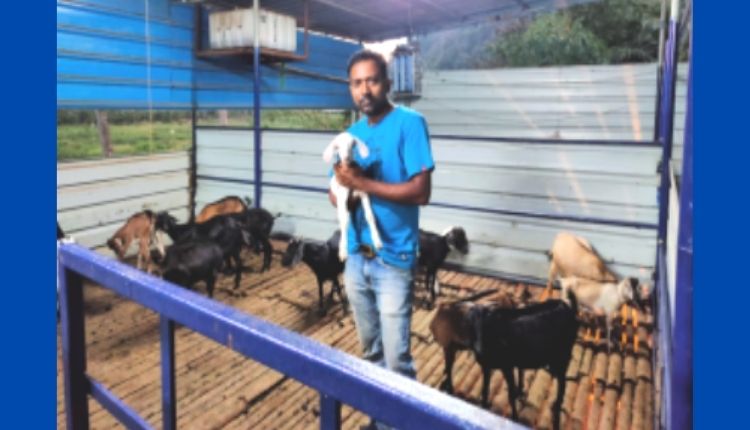 goat farming andaman बकरी पालन अंडमान 