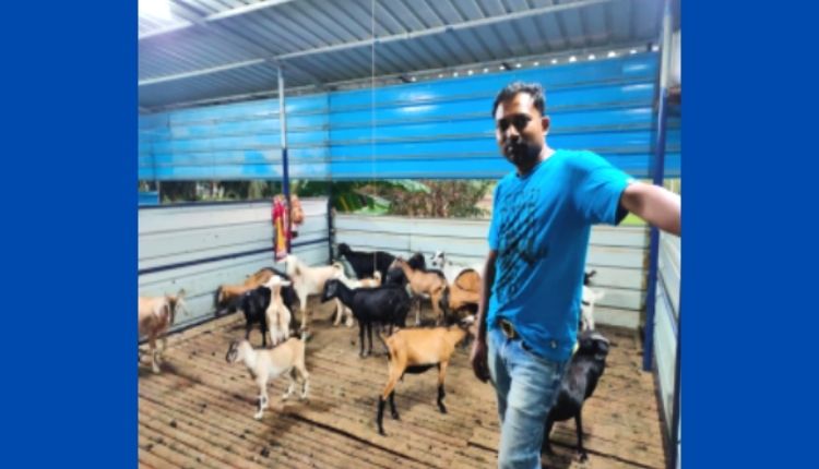 goat farming andaman बकरी पालन अंडमान 