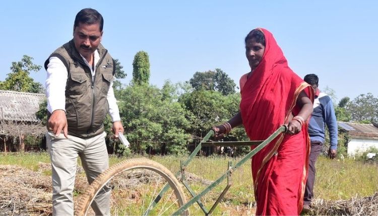 बाजरे की खेती millet farming उड़ीसा बाजरा मिशन