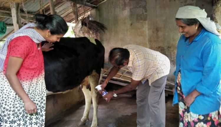 गाय में थनैला रोग (Mastitis disease in cows