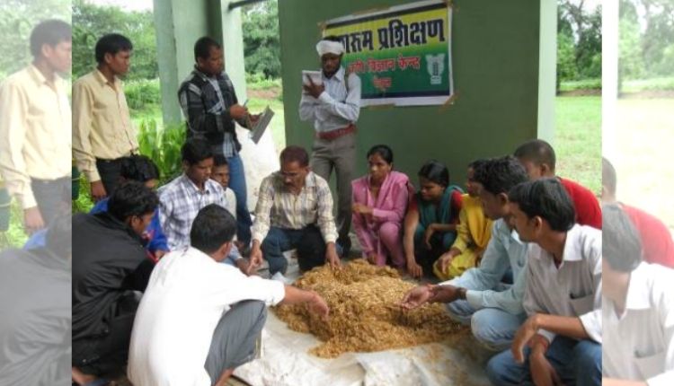 Mushroom Farming