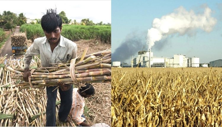 एथनॉल उत्पादन ethanol production in india