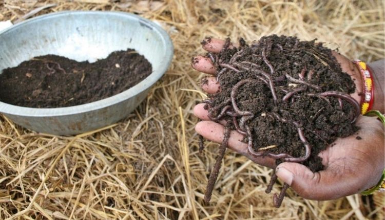 Agri-Startups