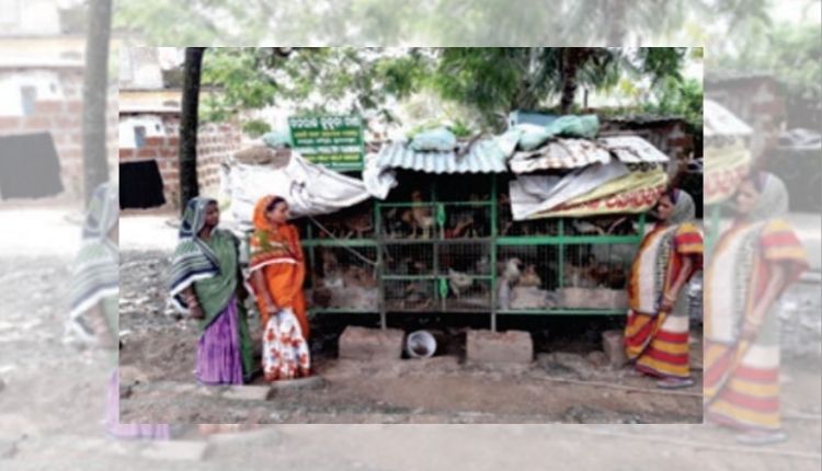 एग्री बिज़नेस ग्रामीण महिलाएं rural woman