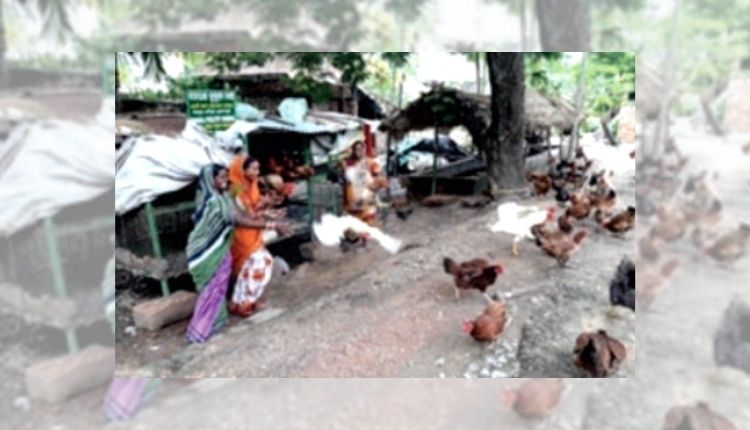 Agri-Startups