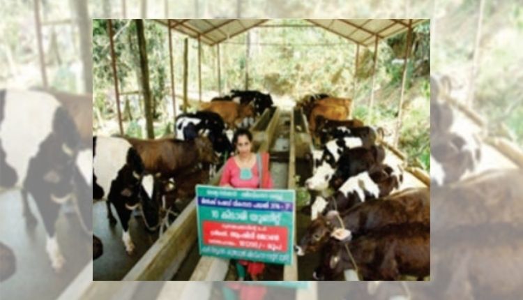 women in dairy sector डेयरी व्यवसाय