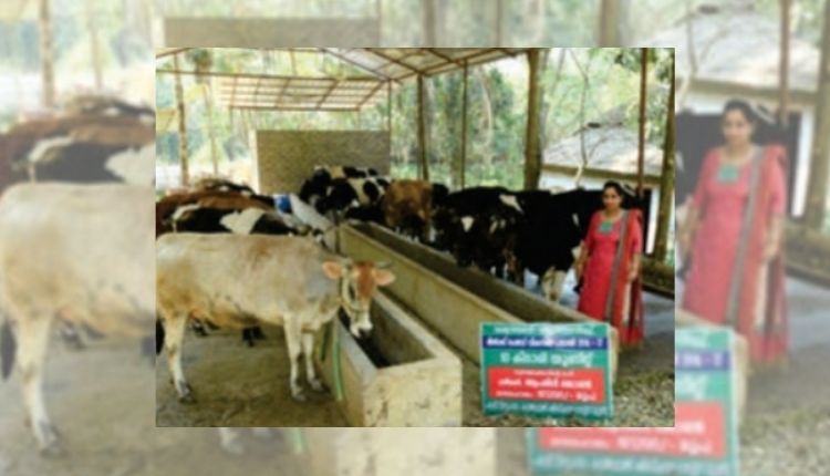 women in dairy sector डेयरी व्यवसाय